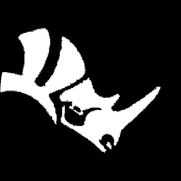Rhinoceros 3D